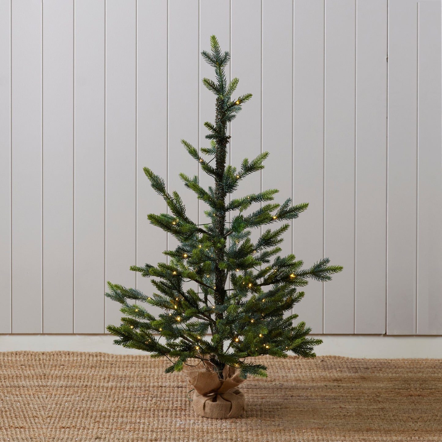 Potted Alpine Spruce Tree 3.5ft