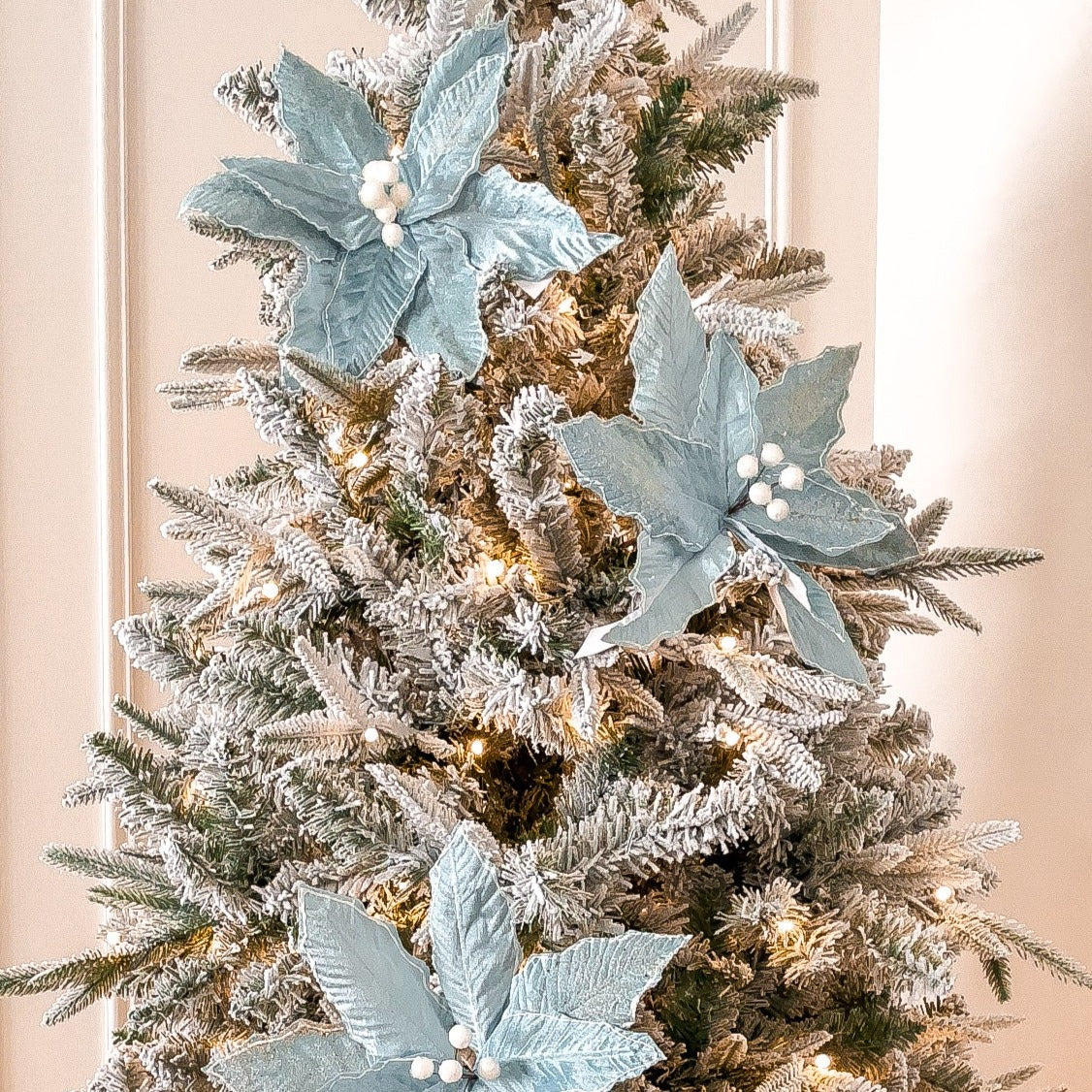 Icy Blue Poinsettia