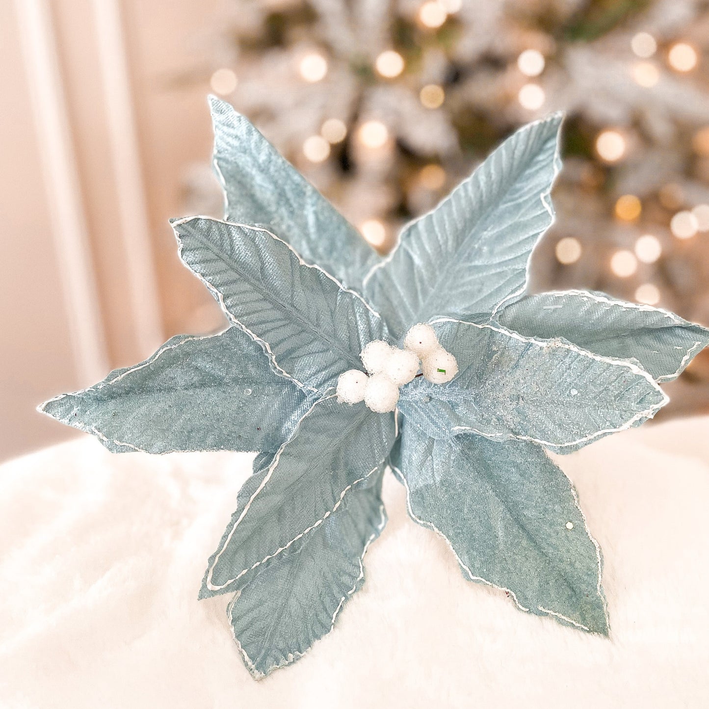 Icy Blue Poinsettia