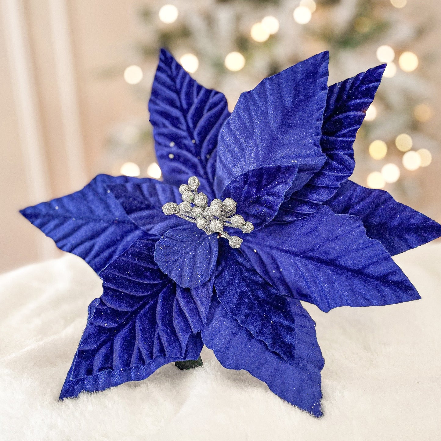 Royal Blue Poinsettia