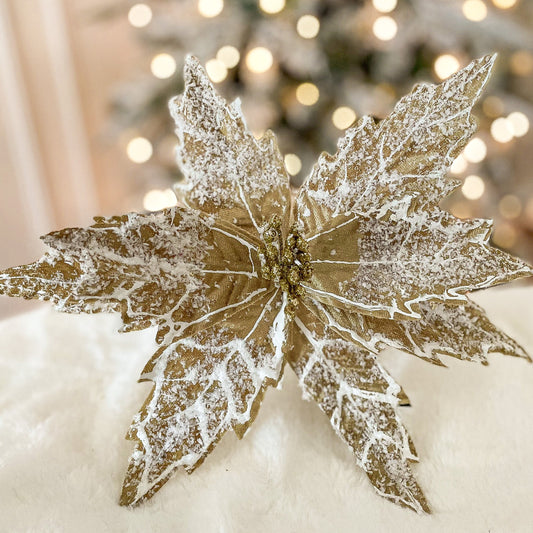 Frosted Gold Christmas Poinsettia