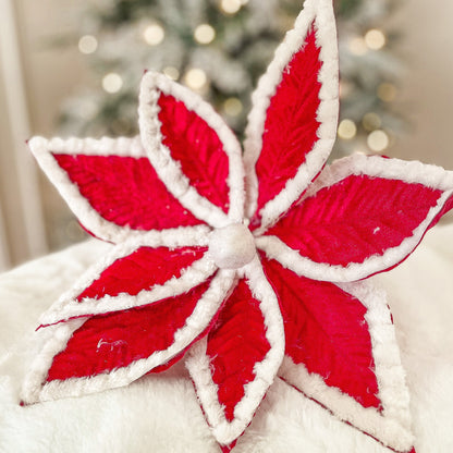 Red Christmas Poinsettia