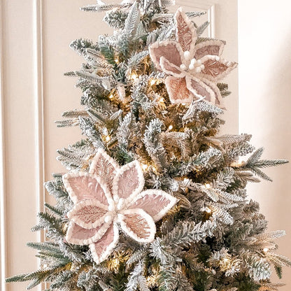 Soft Pink Christmas Poinsettia